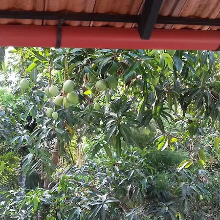 Marari Coastal Dreams Home Stay Alappuzha Exterior photo