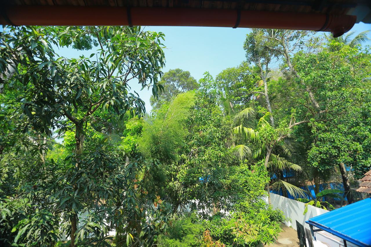 Homestay Marari Coastal Dreams Alappuzha