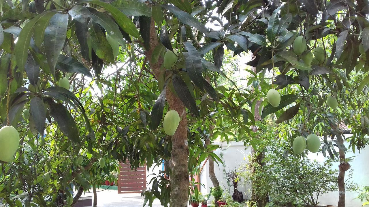 Marari Coastal Dreams Homestay Alappuzha