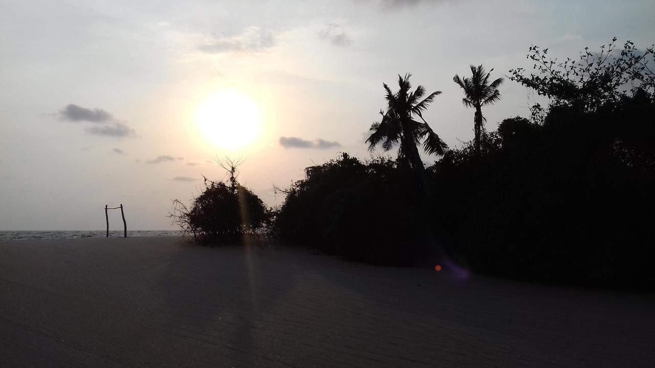 Marari Coastal Dreams * Alappuzha