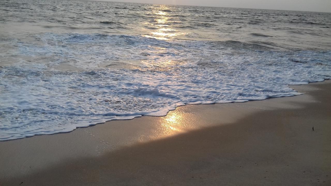 Marari Coastal Dreams Homestay Alappuzha