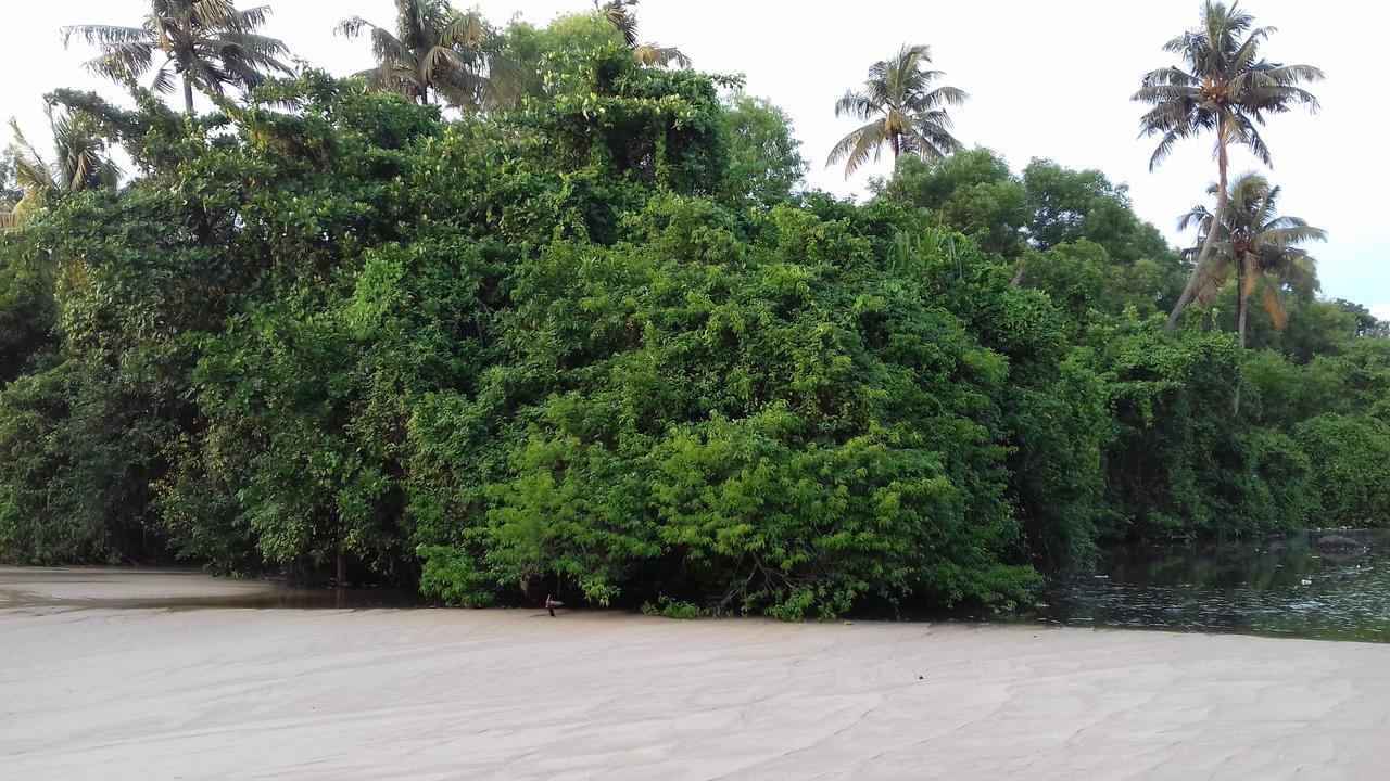 Marari Coastal Dreams Homestay *