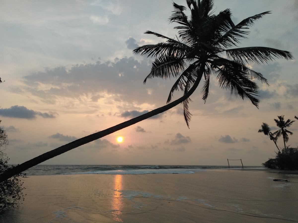 Marari Coastal Dreams Homestay *